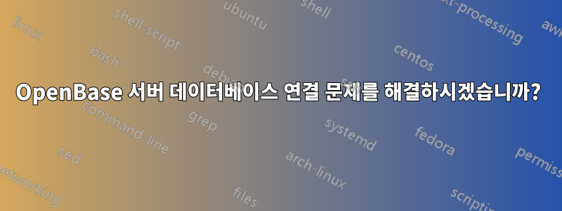 OpenBase 서버 데이터베이스 연결 문제를 해결하시겠습니까?