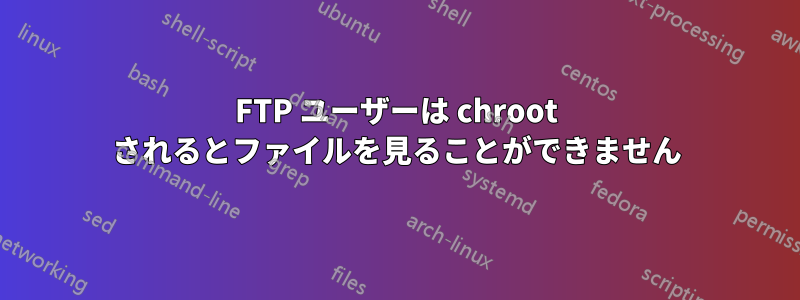 FTP ユーザーは chroot されるとファイルを見ることができません