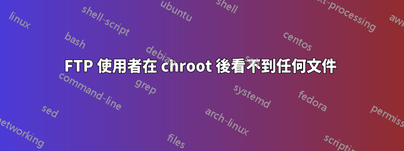 FTP 使用者在 chroot 後看不到任何文件
