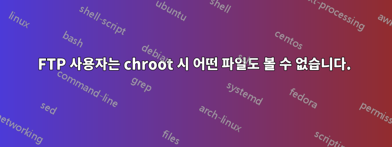 FTP 사용자는 chroot 시 어떤 파일도 볼 수 없습니다.
