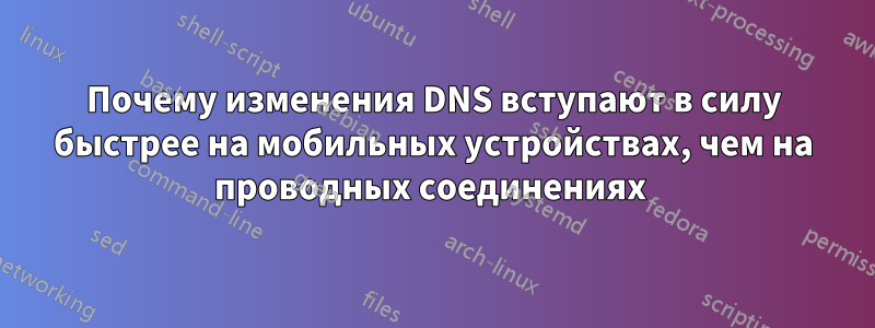 Почему изменения DNS вступают в силу быстрее на мобильных устройствах, чем на проводных соединениях 