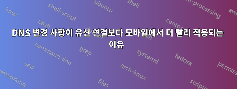 DNS 변경 사항이 유선 연결보다 모바일에서 더 빨리 적용되는 이유