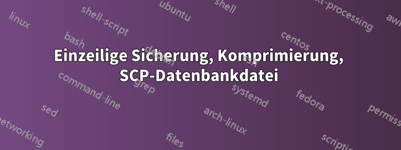 Einzeilige Sicherung, Komprimierung, SCP-Datenbankdatei
