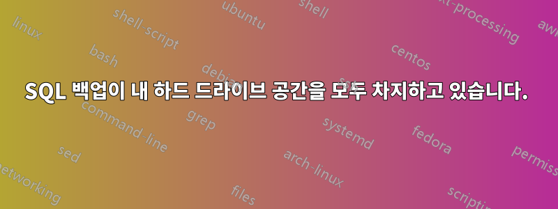 SQL 백업이 내 하드 드라이브 공간을 모두 차지하고 있습니다.