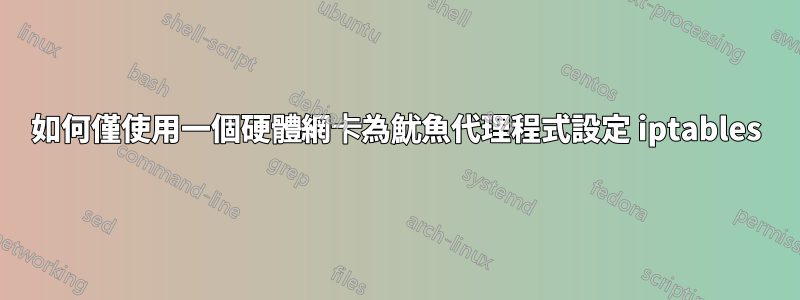 如何僅使用一個硬體網卡為魷魚代理程式設定 iptables