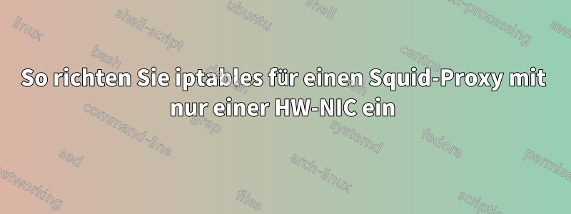 So richten Sie iptables für einen Squid-Proxy mit nur einer HW-NIC ein