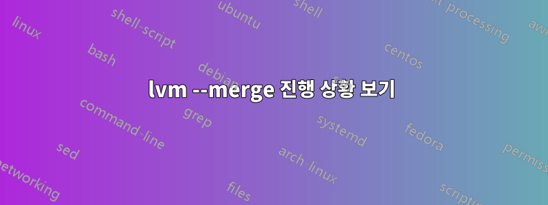 lvm --merge 진행 상황 보기