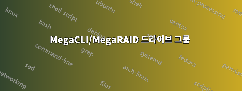 MegaCLI/MegaRAID 드라이브 그룹