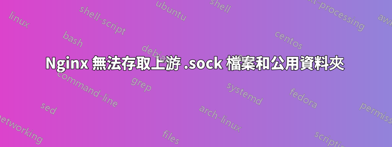 Nginx 無法存取上游 .sock 檔案和公用資料夾
