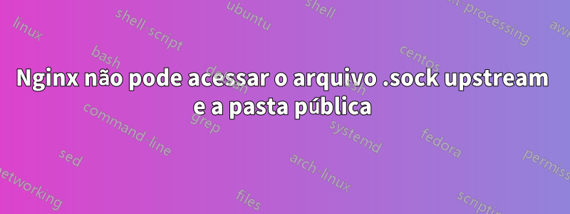 Nginx não pode acessar o arquivo .sock upstream e a pasta pública