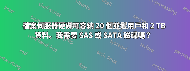 檔案伺服器硬碟可容納 20 個並髮用戶和 2 TB 資料。我需要 SAS 或 SATA 磁碟嗎？ 