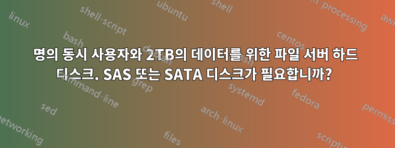 20명의 동시 사용자와 2TB의 데이터를 위한 파일 서버 하드 디스크. SAS 또는 SATA 디스크가 필요합니까? 
