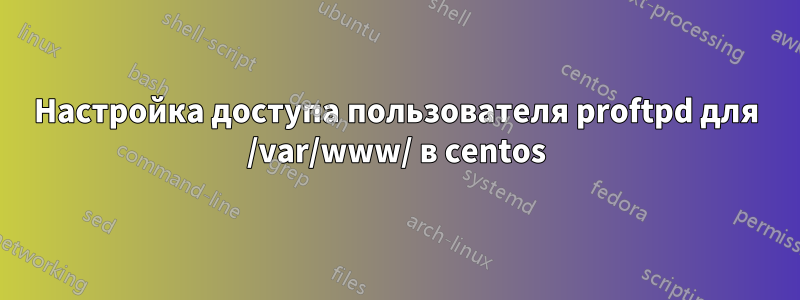 Настройка доступа пользователя proftpd для /var/www/ в centos