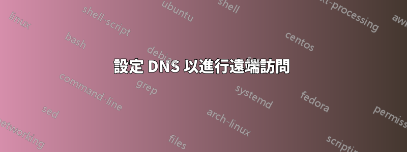 設定 DNS 以進行遠端訪問