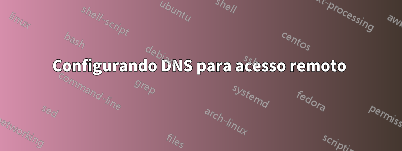 Configurando DNS para acesso remoto