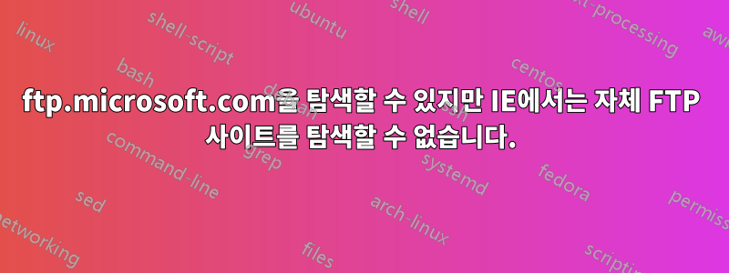 ftp.microsoft.com을 탐색할 수 있지만 IE에서는 자체 FTP 사이트를 탐색할 수 없습니다.