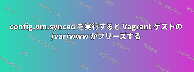 config.vm.synced を実行すると Vagrant ゲストの /var/www がフリーズする