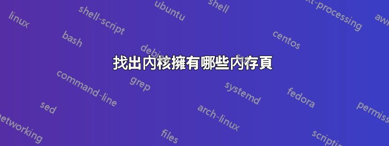 找出內核擁有哪些內存頁