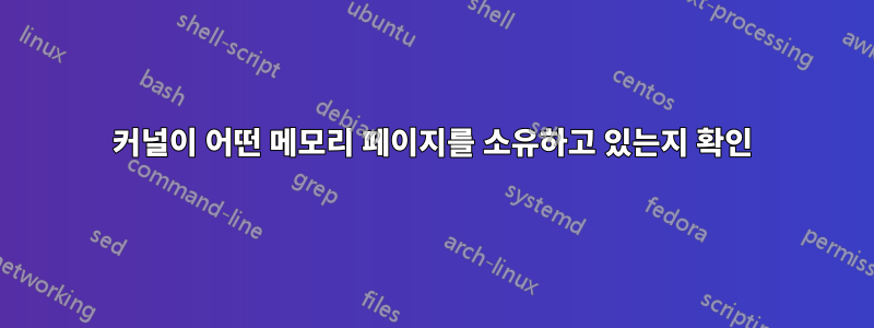 커널이 어떤 메모리 페이지를 소유하고 있는지 확인