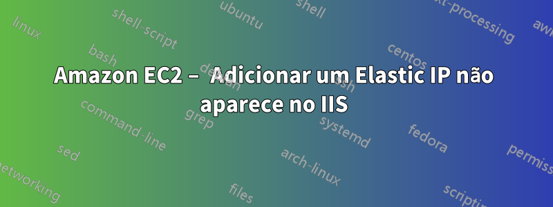 Amazon EC2 – Adicionar um Elastic IP não aparece no IIS