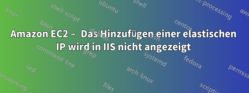 Amazon EC2 – Das Hinzufügen einer elastischen IP wird in IIS nicht angezeigt