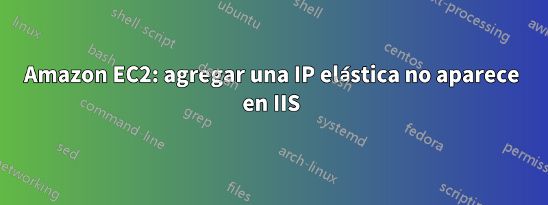 Amazon EC2: agregar una IP elástica no aparece en IIS
