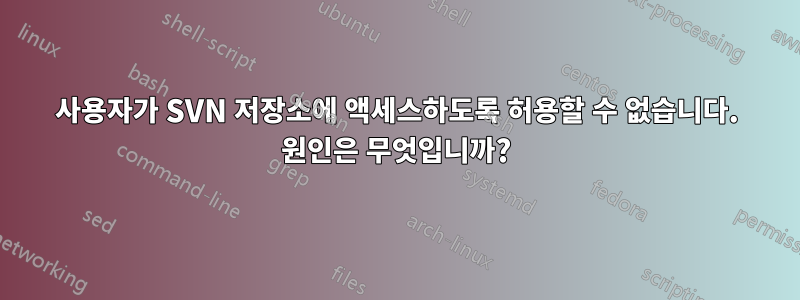 사용자가 SVN 저장소에 액세스하도록 허용할 수 없습니다. 원인은 무엇입니까?