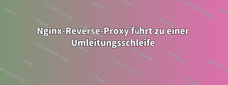Nginx-Reverse-Proxy führt zu einer Umleitungsschleife
