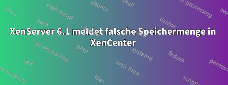 XenServer 6.1 meldet falsche Speichermenge in XenCenter