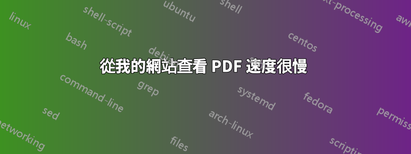 從我的網站查看 PDF 速度很慢