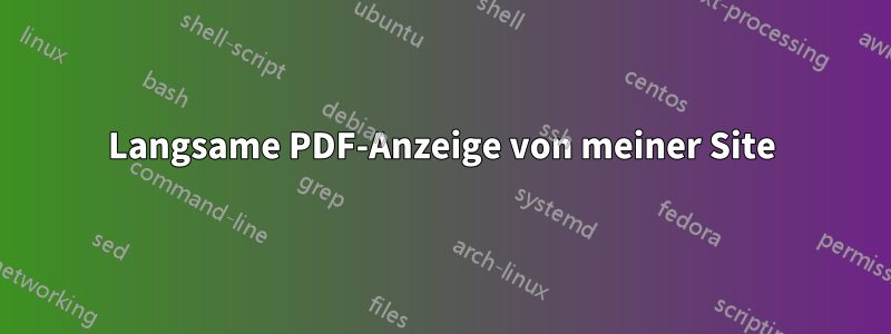 Langsame PDF-Anzeige von meiner Site