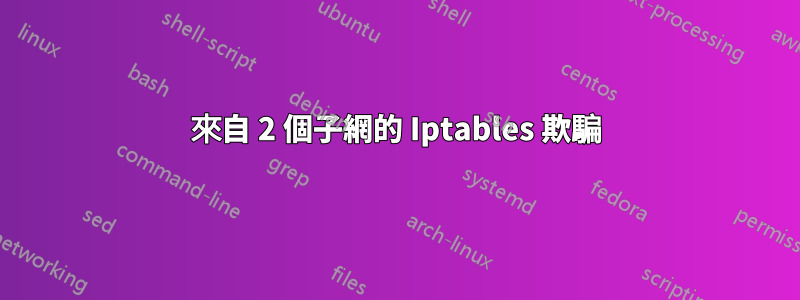 來自 2 個子網的 Iptables 欺騙