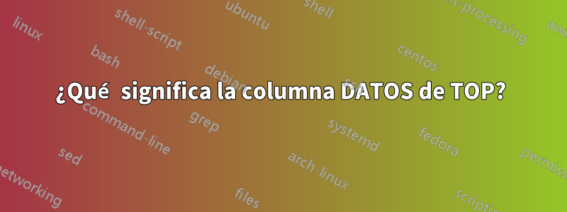 ¿Qué significa la columna DATOS de TOP?