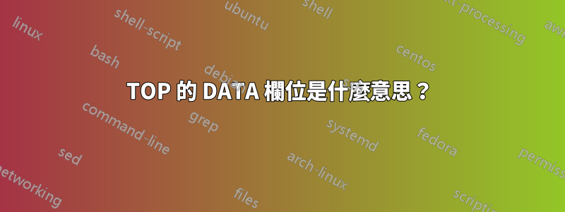 TOP 的 DATA 欄位是什麼意思？