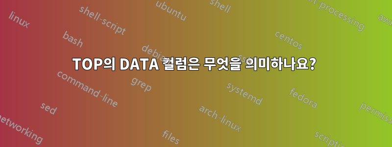 TOP의 DATA 컬럼은 무엇을 의미하나요?