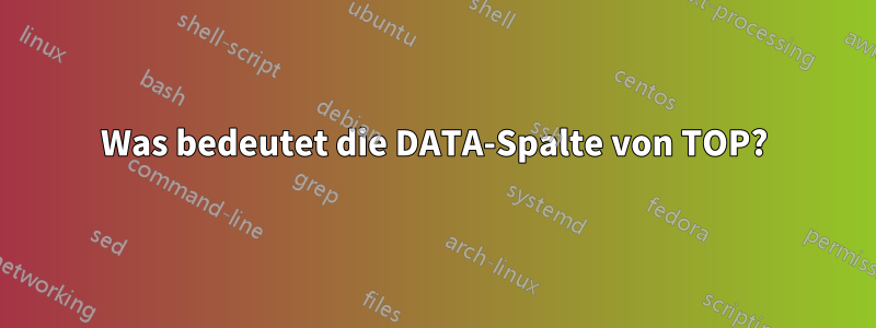 Was bedeutet die DATA-Spalte von TOP?