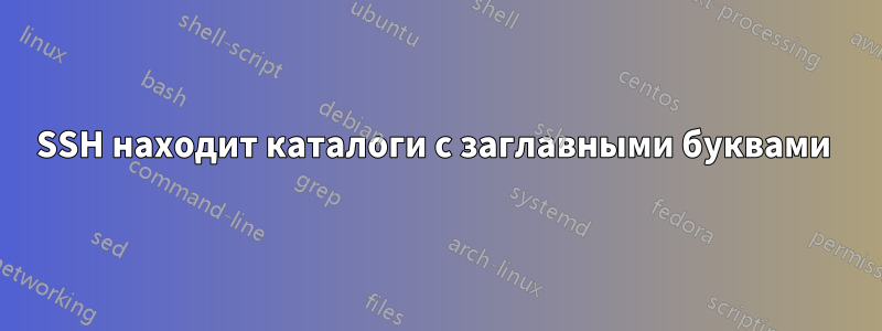 SSH находит каталоги с заглавными буквами 