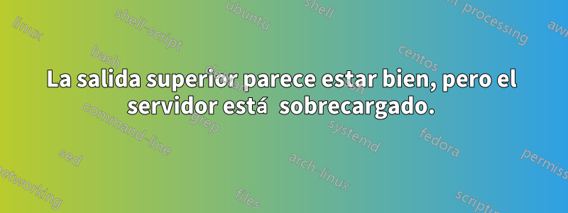 La salida superior parece estar bien, pero el servidor está sobrecargado.