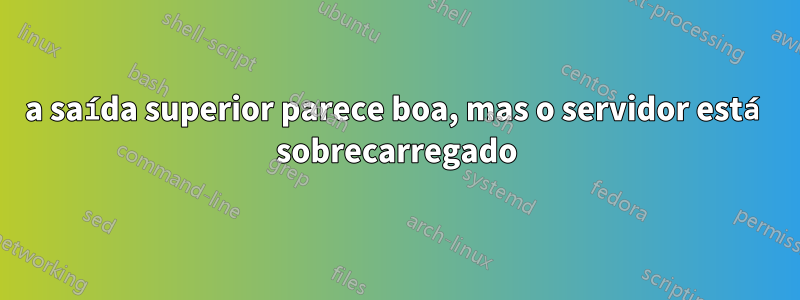 a saída superior parece boa, mas o servidor está sobrecarregado