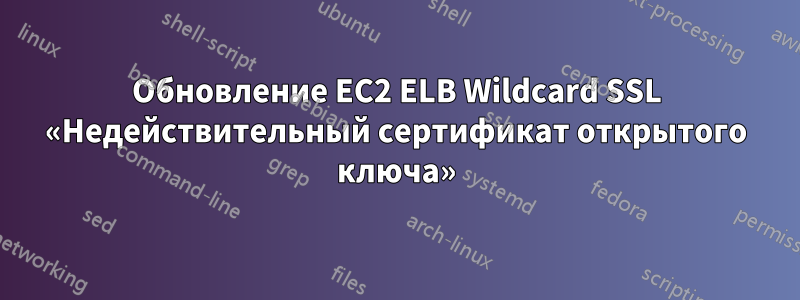 Обновление EC2 ELB Wildcard SSL «Недействительный сертификат открытого ключа»