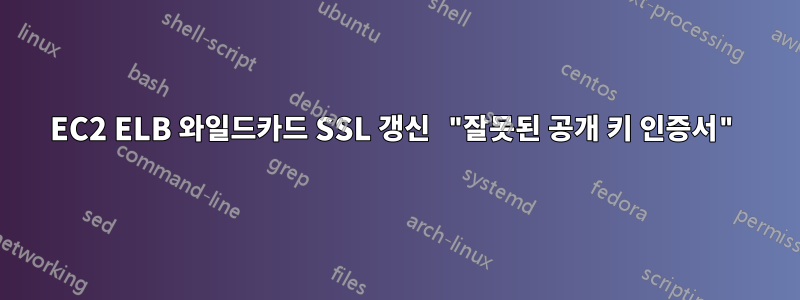 EC2 ELB 와일드카드 SSL 갱신 "잘못된 공개 키 인증서"