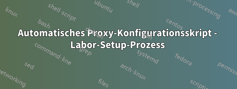 Automatisches Proxy-Konfigurationsskript - Labor-Setup-Prozess