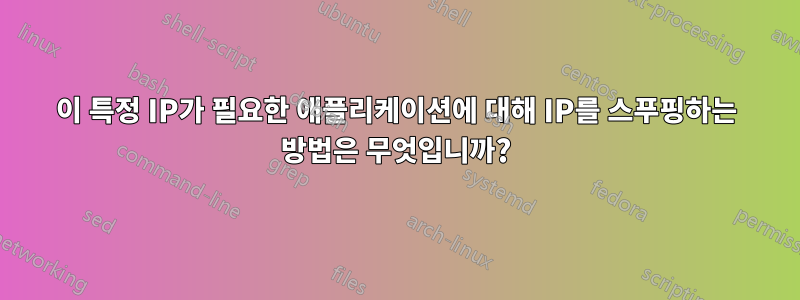 이 특정 IP가 필요한 애플리케이션에 대해 IP를 스푸핑하는 방법은 무엇입니까?