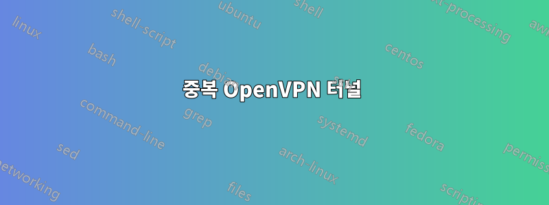 중복 OpenVPN 터널