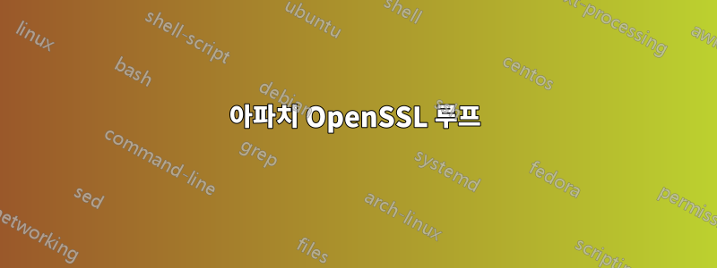 아파치 OpenSSL 루프