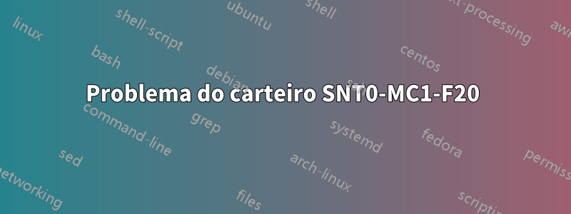 Problema do carteiro SNT0-MC1-F20