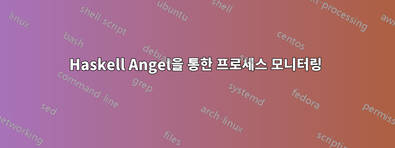 Haskell Angel을 통한 프로세스 모니터링