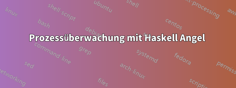 Prozessüberwachung mit Haskell Angel