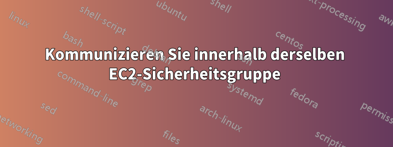 Kommunizieren Sie innerhalb derselben EC2-Sicherheitsgruppe