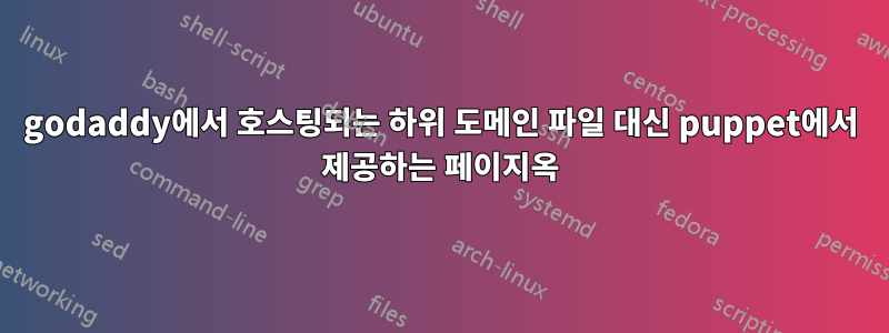 godaddy에서 호스팅되는 하위 도메인 파일 대신 puppet에서 제공하는 페이지옥